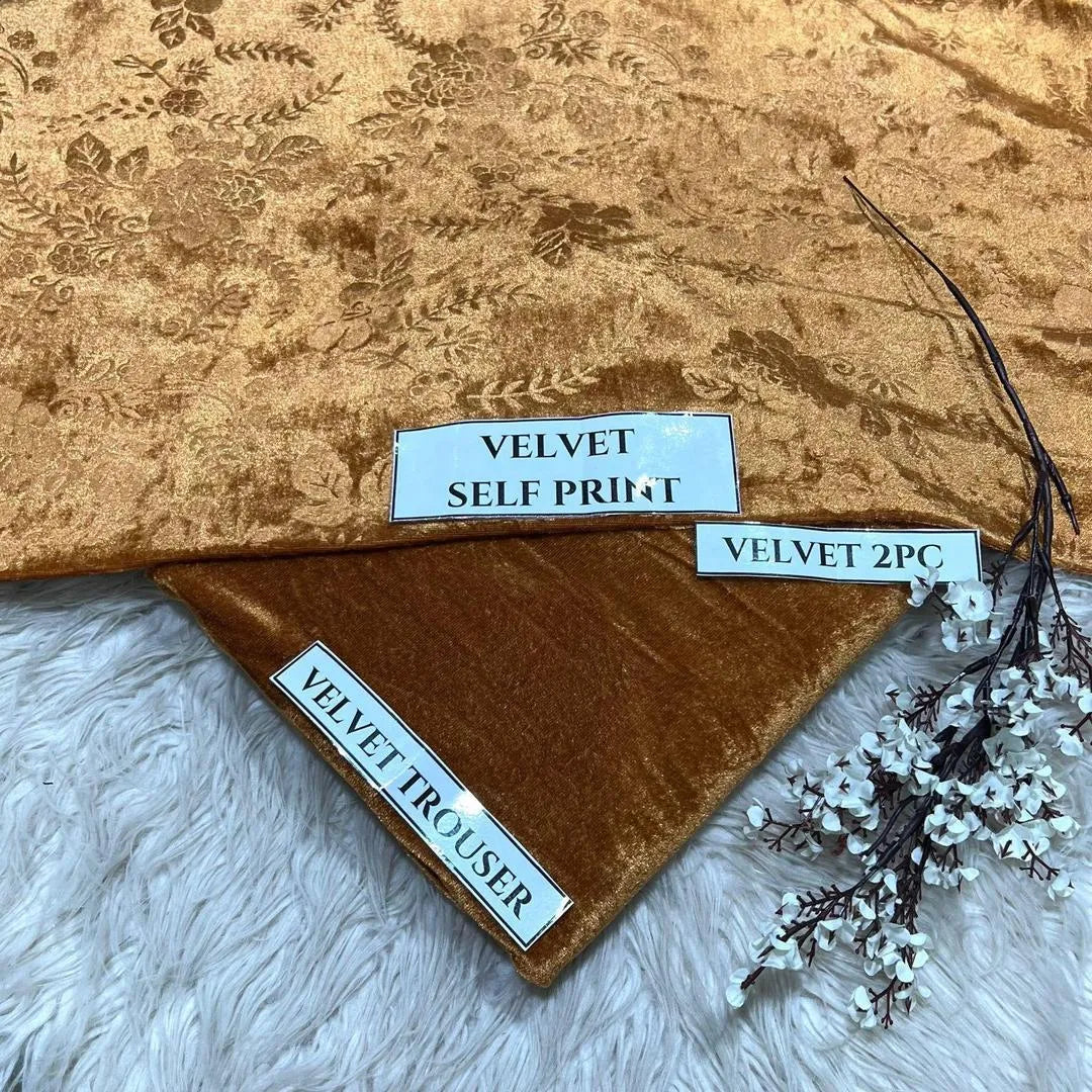 2 Pcs Women's Unstitched Printed velvet Suit