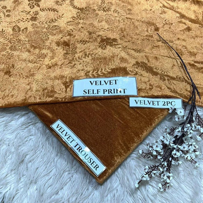 2 Pcs Women's Unstitched Printed velvet Suit