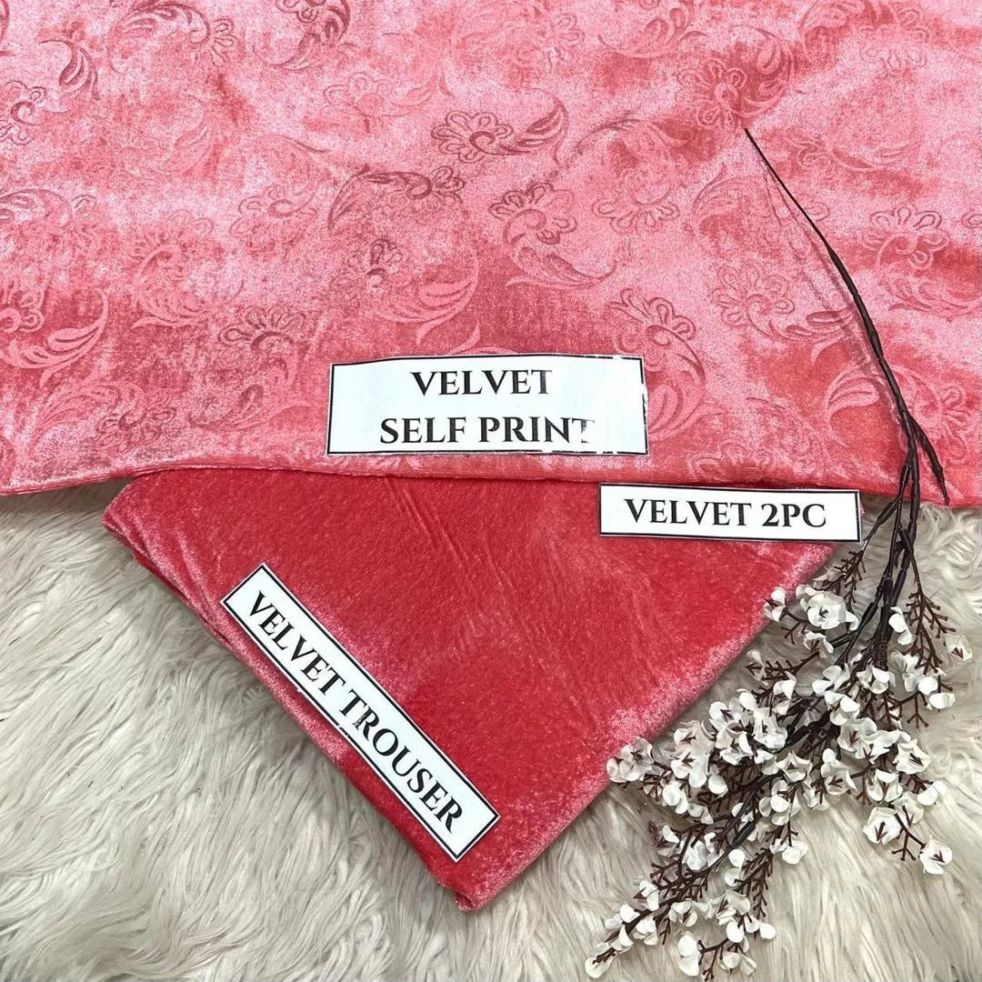 2 Pcs Women's Unstitched Printed velvet Suit